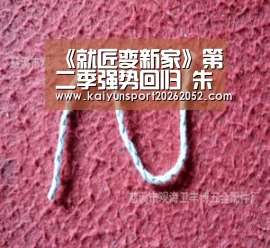 《就匠变新家》第二季强势回归 朱桢再度解锁大咖朋友圈刷新生活“开云热门”