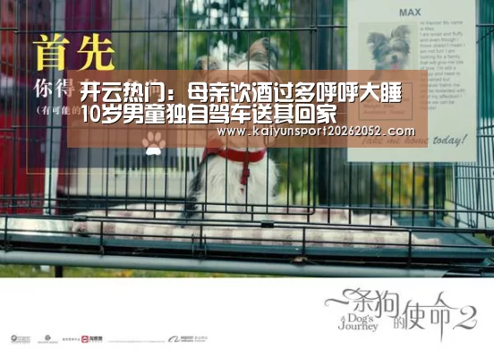 开云热门：母亲饮酒过多呼呼大睡 10岁男童独自驾车送其回家