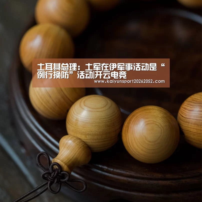 土耳其总理：土军在伊军事活动是“例行换防”活动|开云电竞
