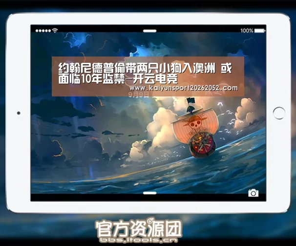 开云热门